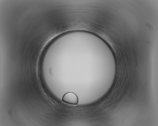 X0000112430680200908141112