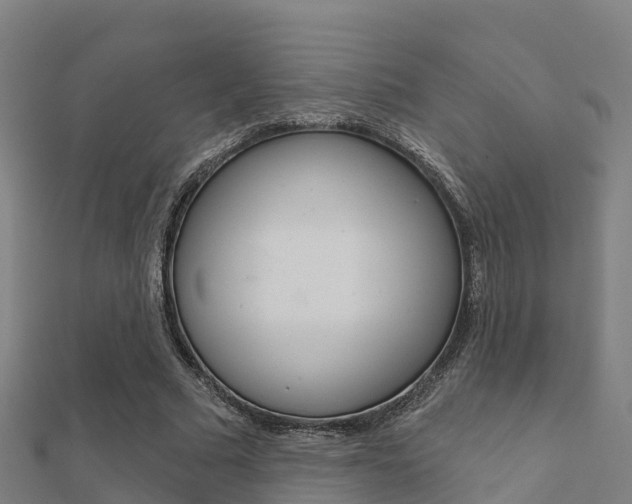 X0000112430681200908141112