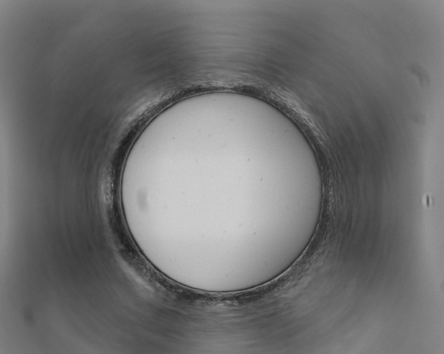 X0000112430683200908141112