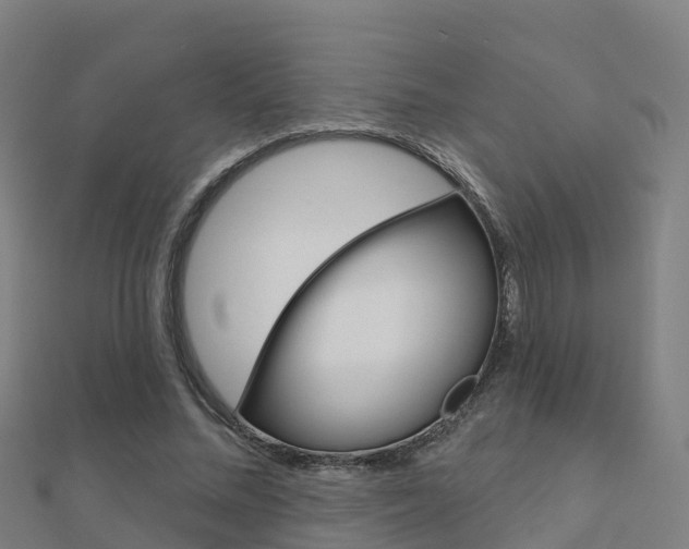 X0000112430684200908141112