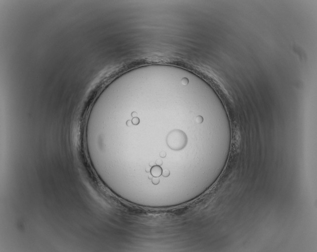 X0000112430686200908141112