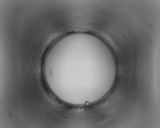 X0000112430687200908141112