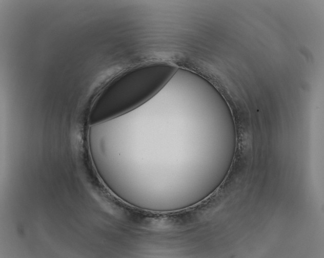 X0000112430688200908141112