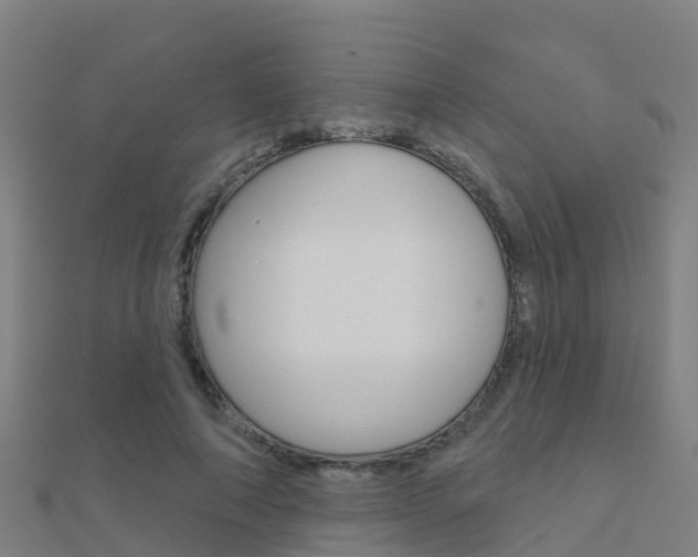 X0000112430690200908141112