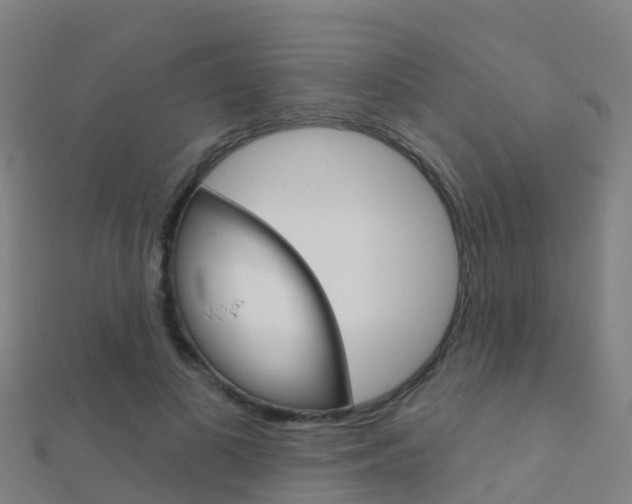 X0000112430693200908141112