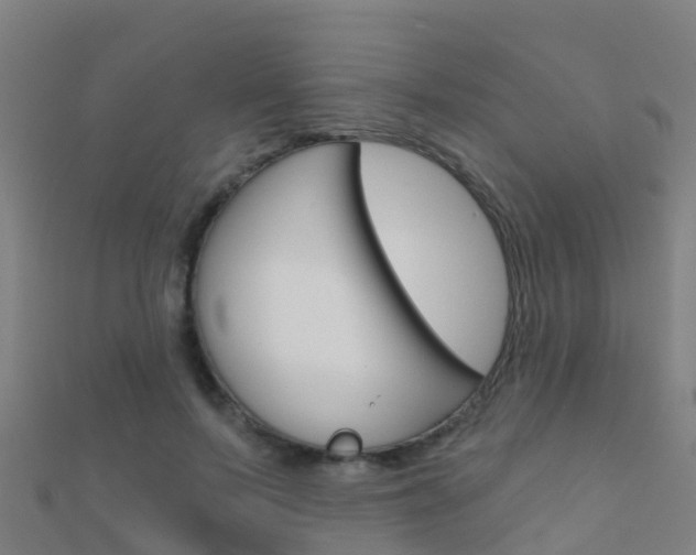 X0000112430695200908141112