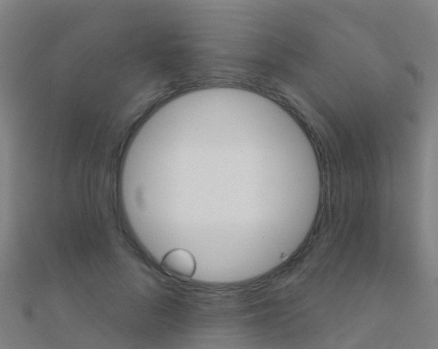 X0000112430696200908141112