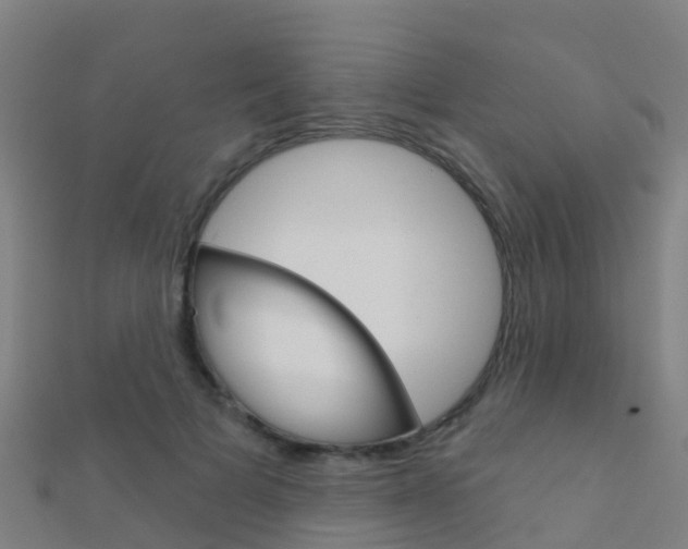 X0000112430697200908141112