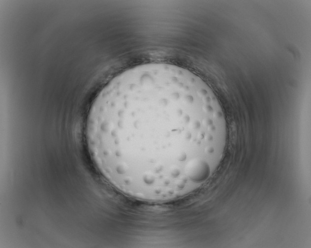 X0000112430698200908141112