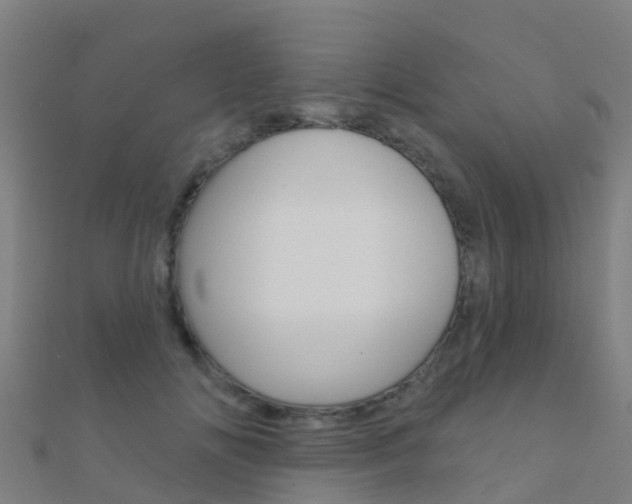 X0000112430702200908141112