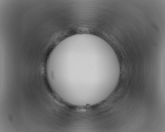 X0000112430706200908141111