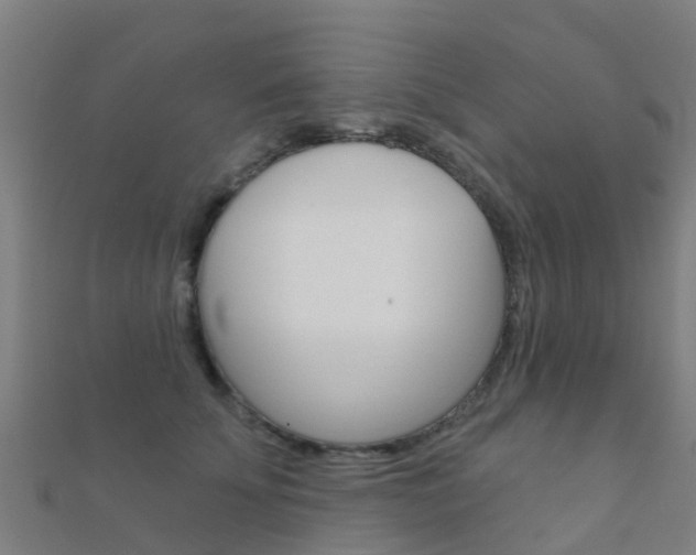 X0000112430707200908141111