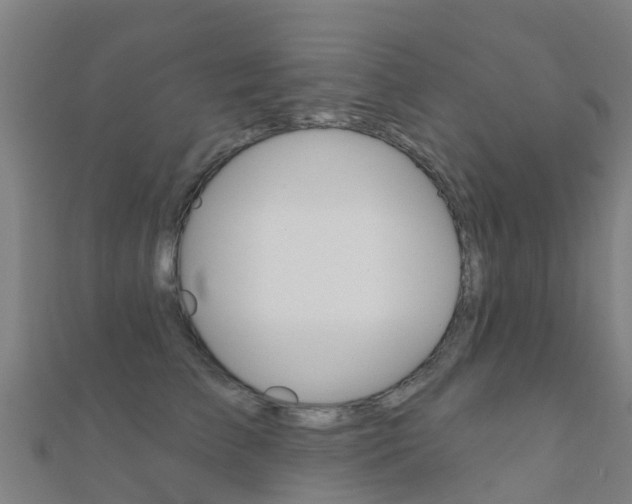 X0000112430709200908141111