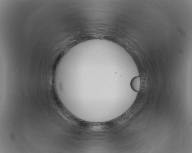 X0000112430710200908141111