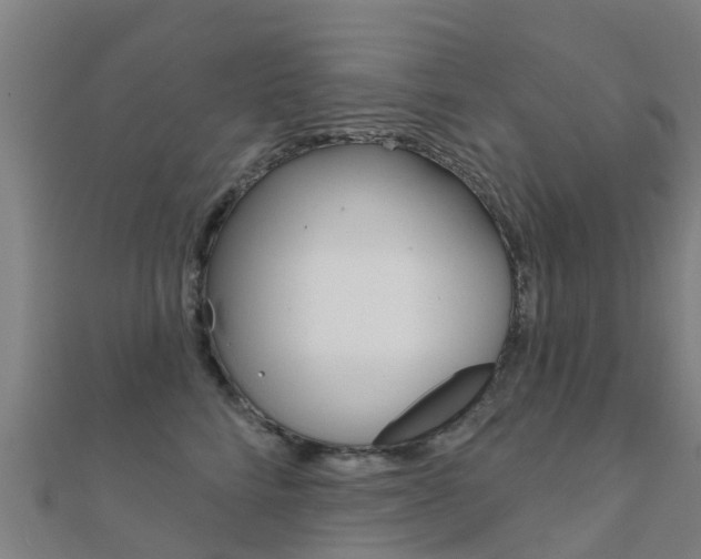 X0000112430712200908141111