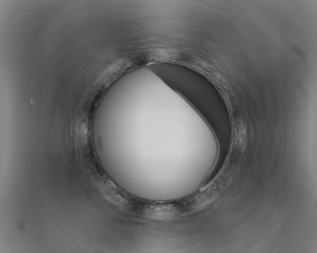 X0000112430716200908141111