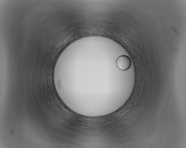 X0000112430720200908141111