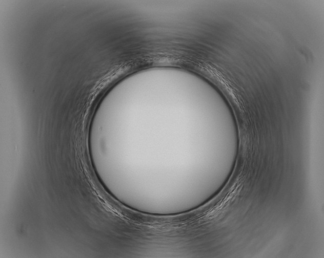 X0000112430721200908141111