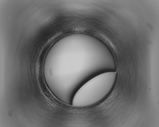 X0000112430722200908141111