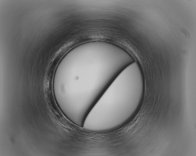 X0000112430723200908141111
