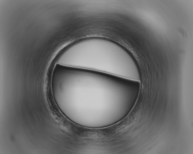 X0000112430724200908141111