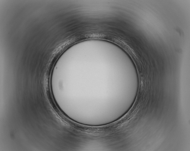 X0000112430725200908141111