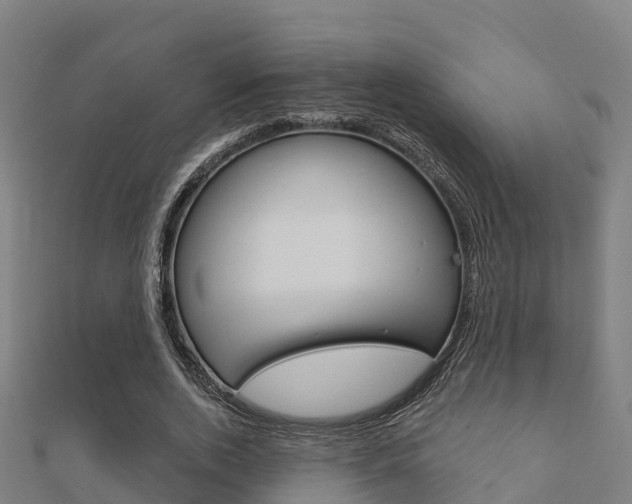 X0000112430728200908141111