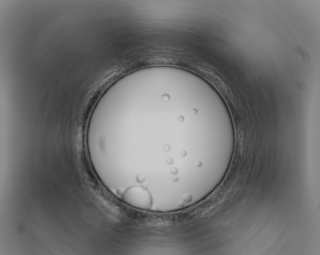 X0000112430729200908141111