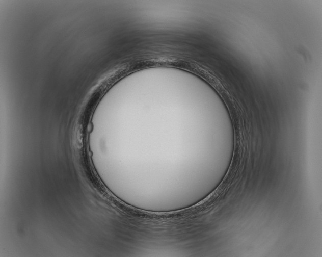 X0000112430731200908141111