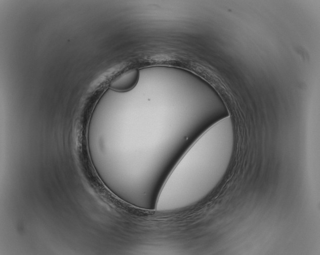 X0000112430732200908141111