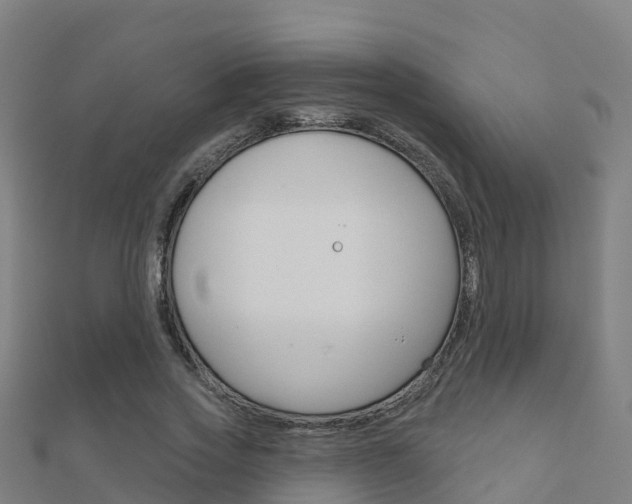 X0000112430733200908141111