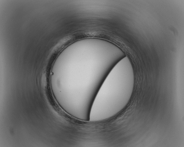 X0000112430734200908141111