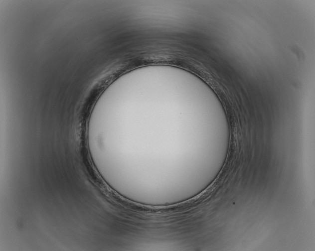 X0000112430735200908141111