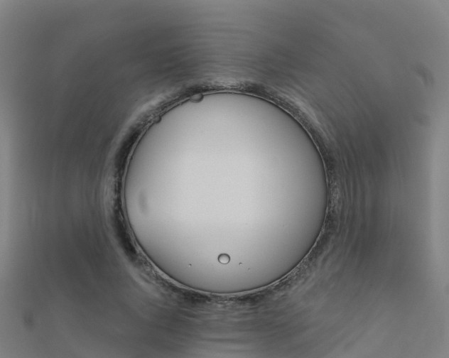 X0000112430736200908141111