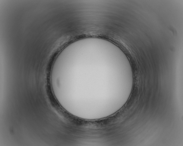 X0000112430738200908141111