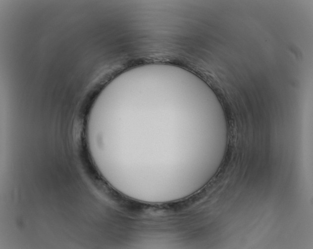 X0000112430742200908141111