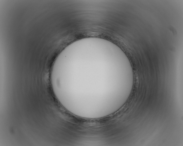 X0000112430745200908141111