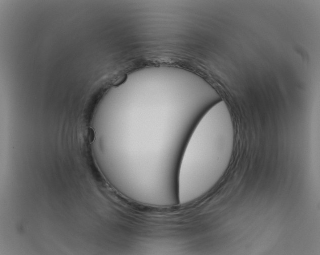 X0000112430747200908141111