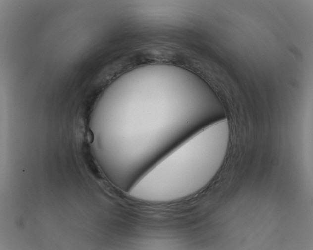 X0000112430752200908141111