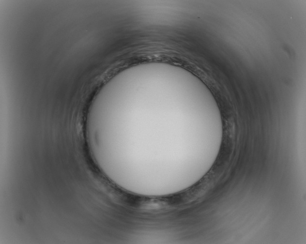 X0000112430754200908141111