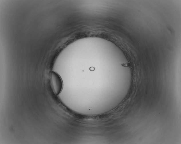X0000112430756200908141111