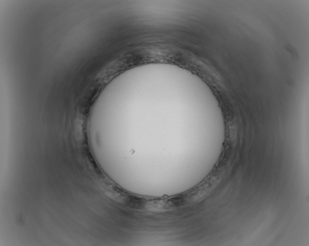 X0000112430757200908141111