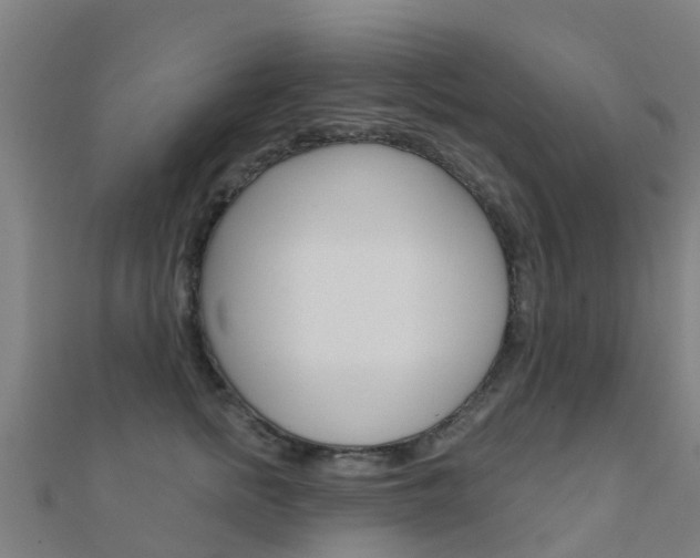 X0000112430758200908141111