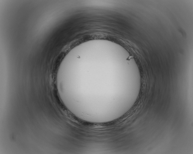 X0000112430759200908141111