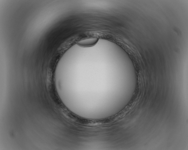 X0000112430760200908141111