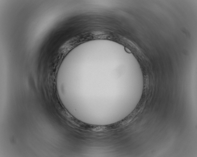 X0000112430761200908141111