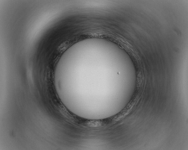 X0000112430762200908141111