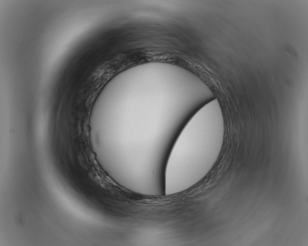 X0000112430763200908141111