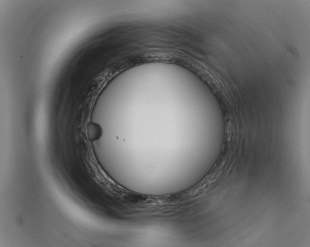 X0000112430764200908141111