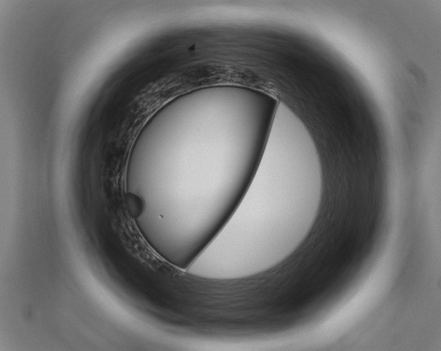 X0000112430766200908141111